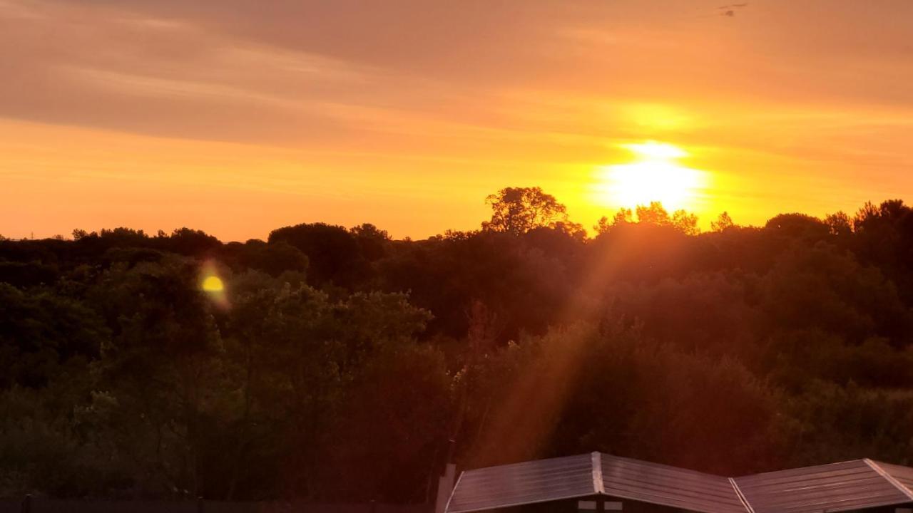 Gite Du Soleil Maison Lumineuse Avec Terrasse Solarium Parking Prive Sorede Luaran gambar